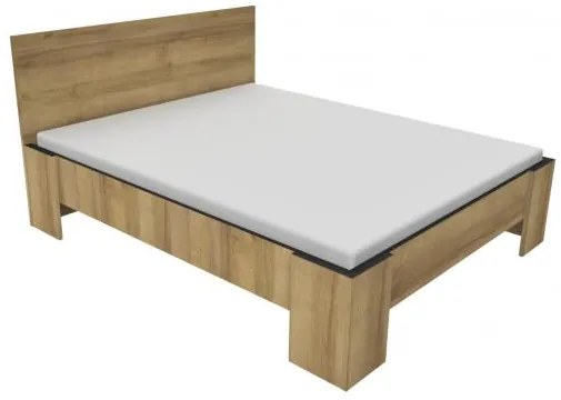 Postel´ Frida L1