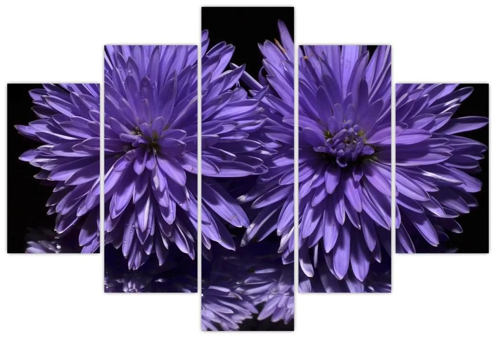 Obraz fialových kvetov