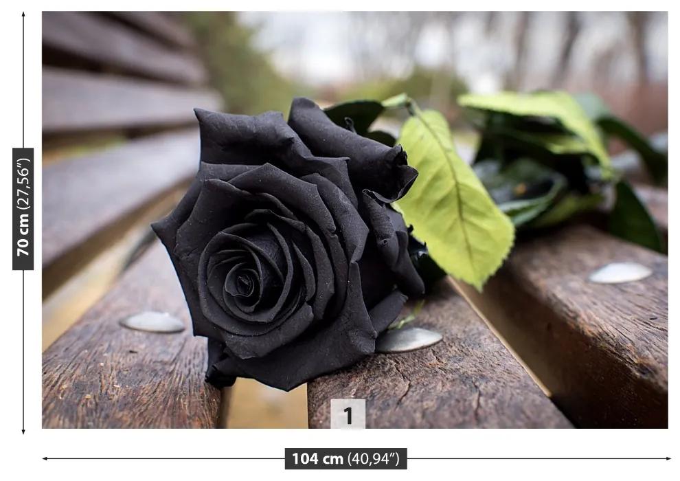Fototapeta Vliesová Čierna ruža 416x254 cm
