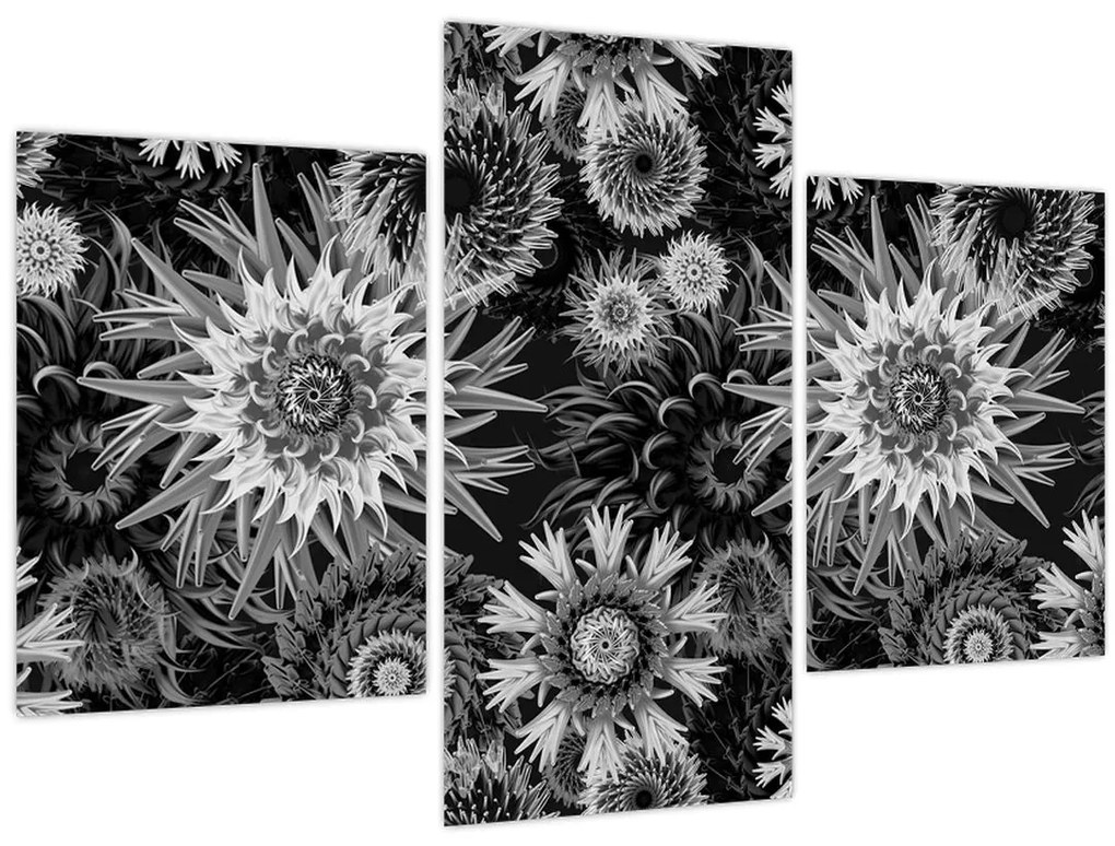 Obraz - Čiernobiele bodliaky (90x60 cm)