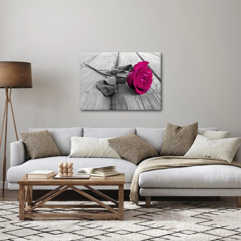 Obraz - Ružová ruža (70x50 cm)