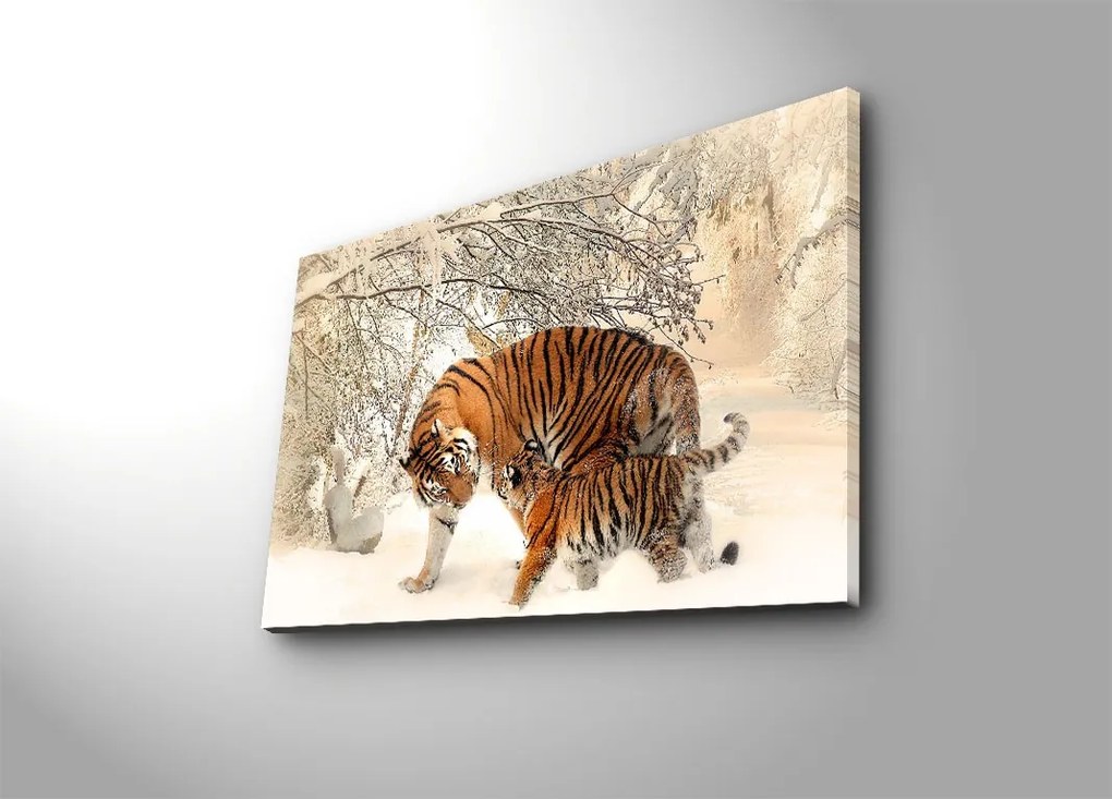 Obraz s LED osvetlením TIGRE VO SNEHU 81 45 x 70 cm