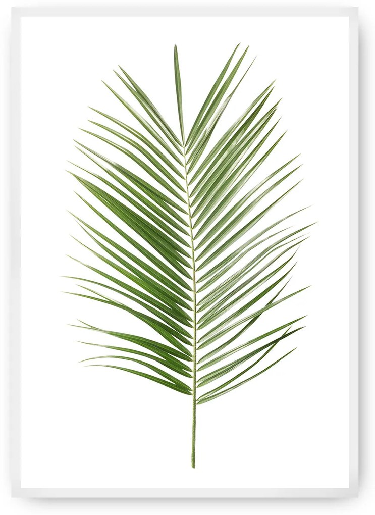 Plagát Palm Leaf Green