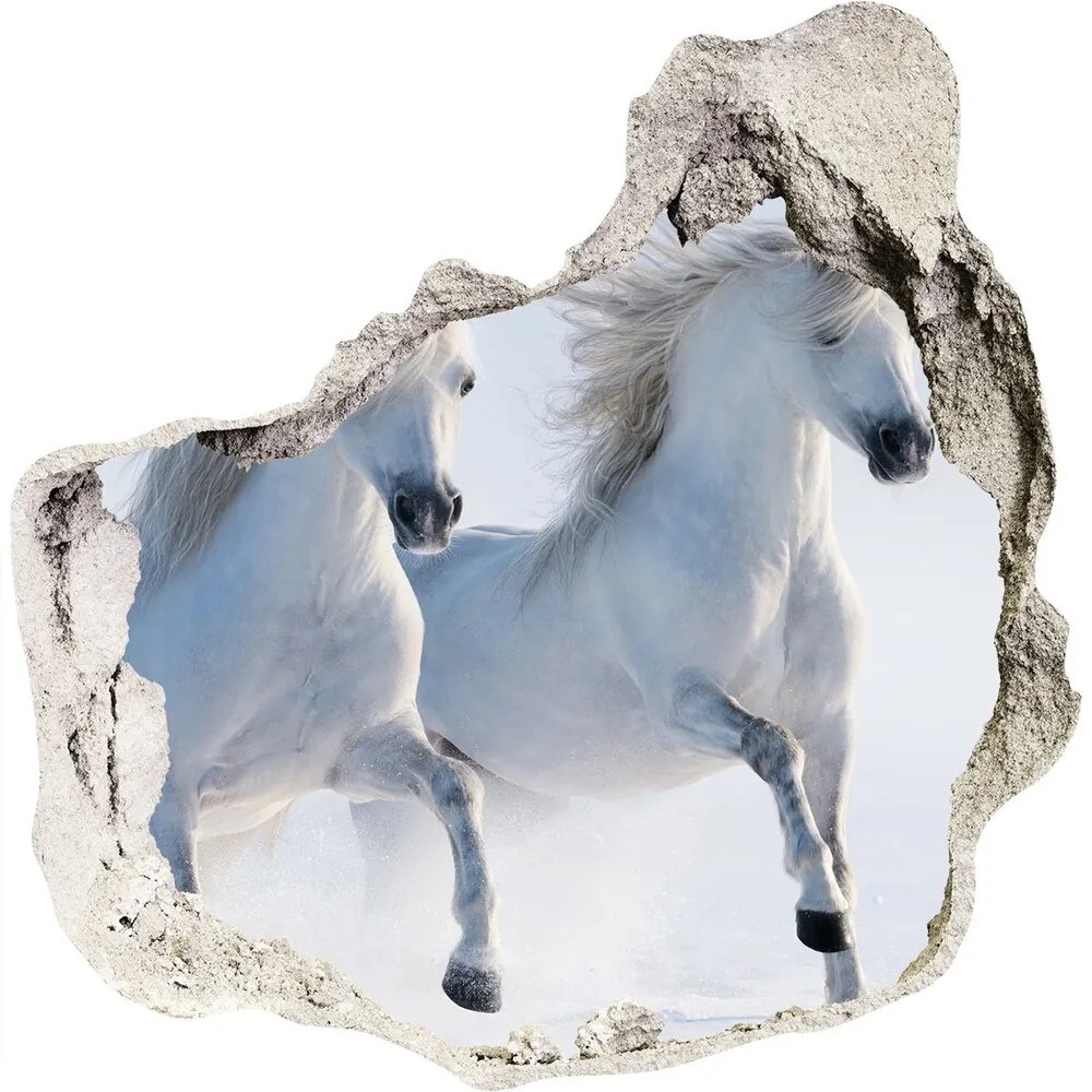 Nálepka fototapeta 3D Dva kone v snehu nd-p-46568530