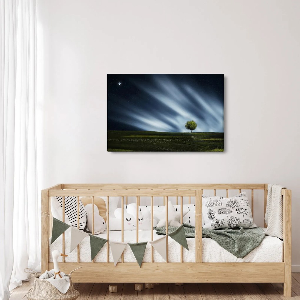 Obraz polárna žiara nad vresoviskom (90x60 cm)