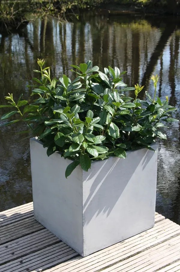 Kvetináč BLOCK, sklolaminát, 50x50x50 cm, betón design