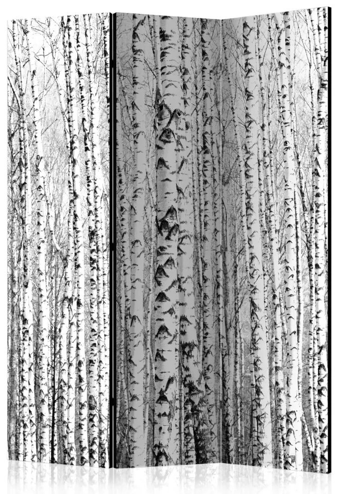 Artgeist Paraván - Birch forest [Room Dividers]
