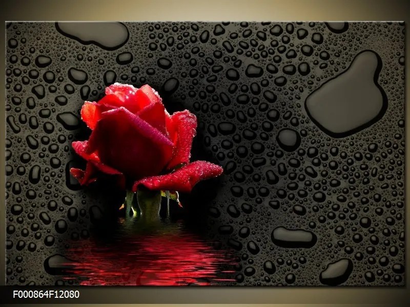 Obraz na plátne Kvet ruže, Obdĺžnik 120x80cm 87,92 €