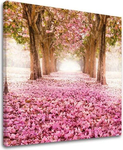 Obraz na stenu STROMY