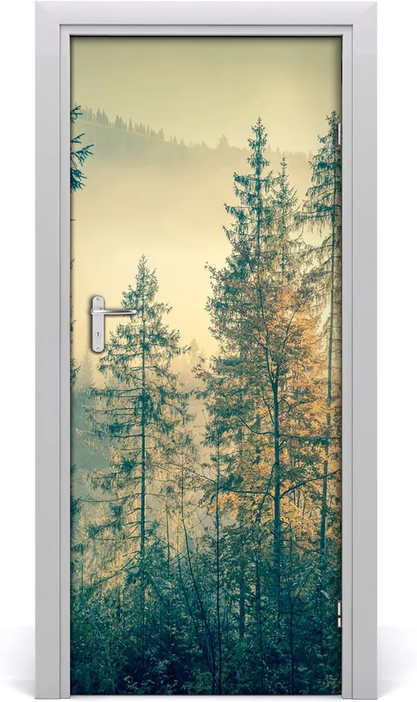 Fototapeta na dveře Mlha nad lesem