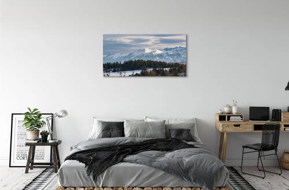 Obraz canvas horské zimné 120x60 cm