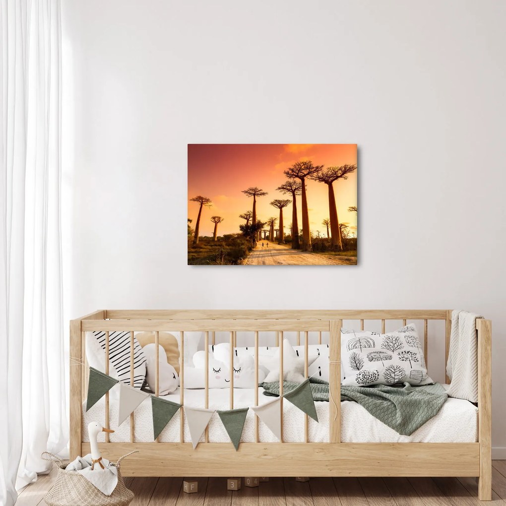 Obraz - Západ slnka v uličke Baobab (70x50 cm)