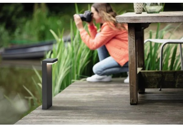 Philips 16485/93/P0 - LED Vonkajšia lampa BUSTAN 2xLED/4,5W/230V IP44