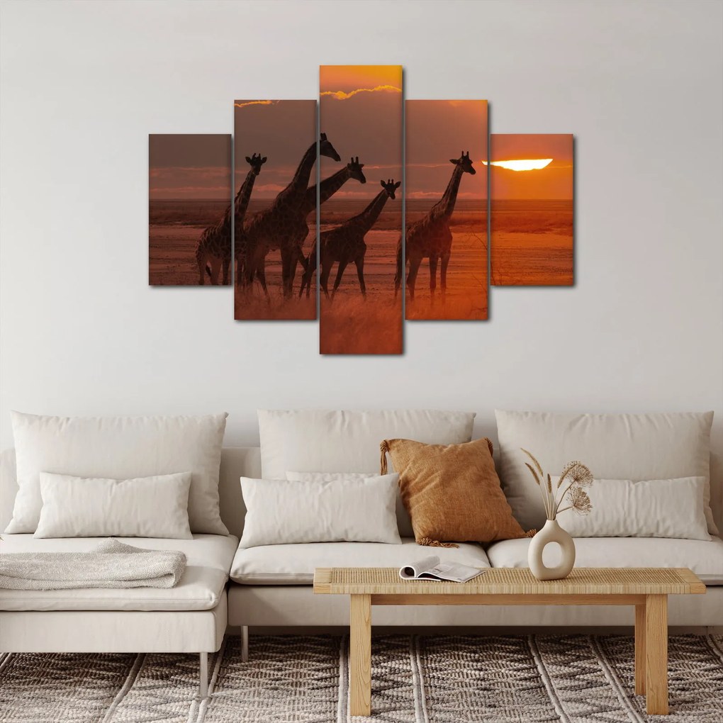 Obraz - Žirafy v africkej savane (150x105 cm)
