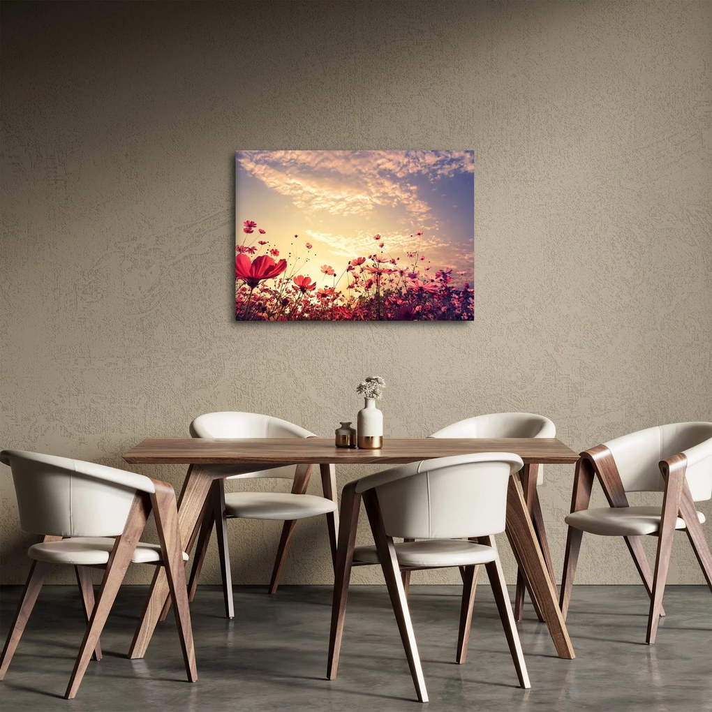 Obraz - Lúka s kvetmi (70x50 cm)