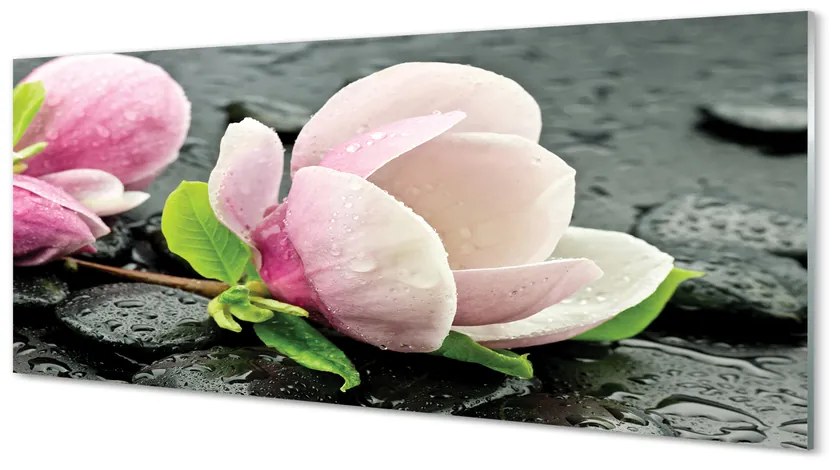 Obraz plexi Magnolia kamene 120x60 cm