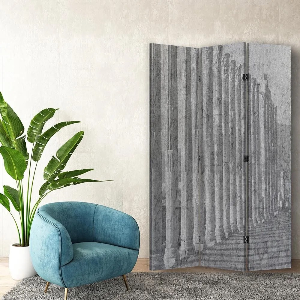 Gario Paraván Architektonický poriadok Rozmery: 110 x 170 cm, Prevedenie: Korkový paraván