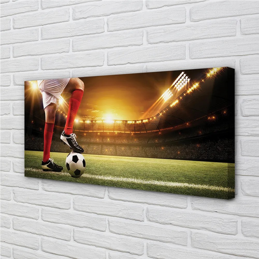 Obraz canvas Futbalovom štadióne nohy 125x50 cm