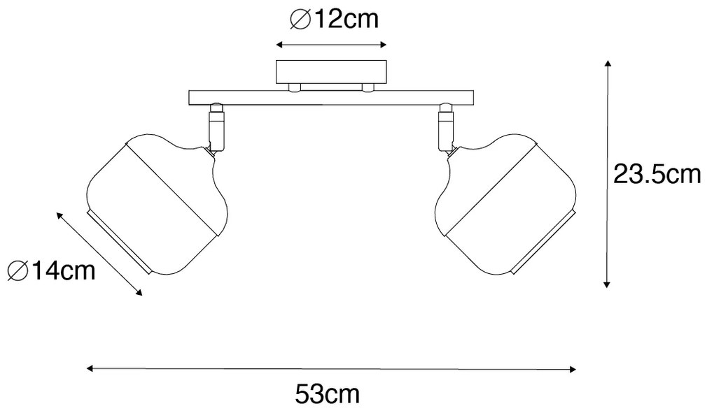 Dizajnové bodové svetlo čierne so zlatom a dymovým sklom 2-svetlo - Kyan