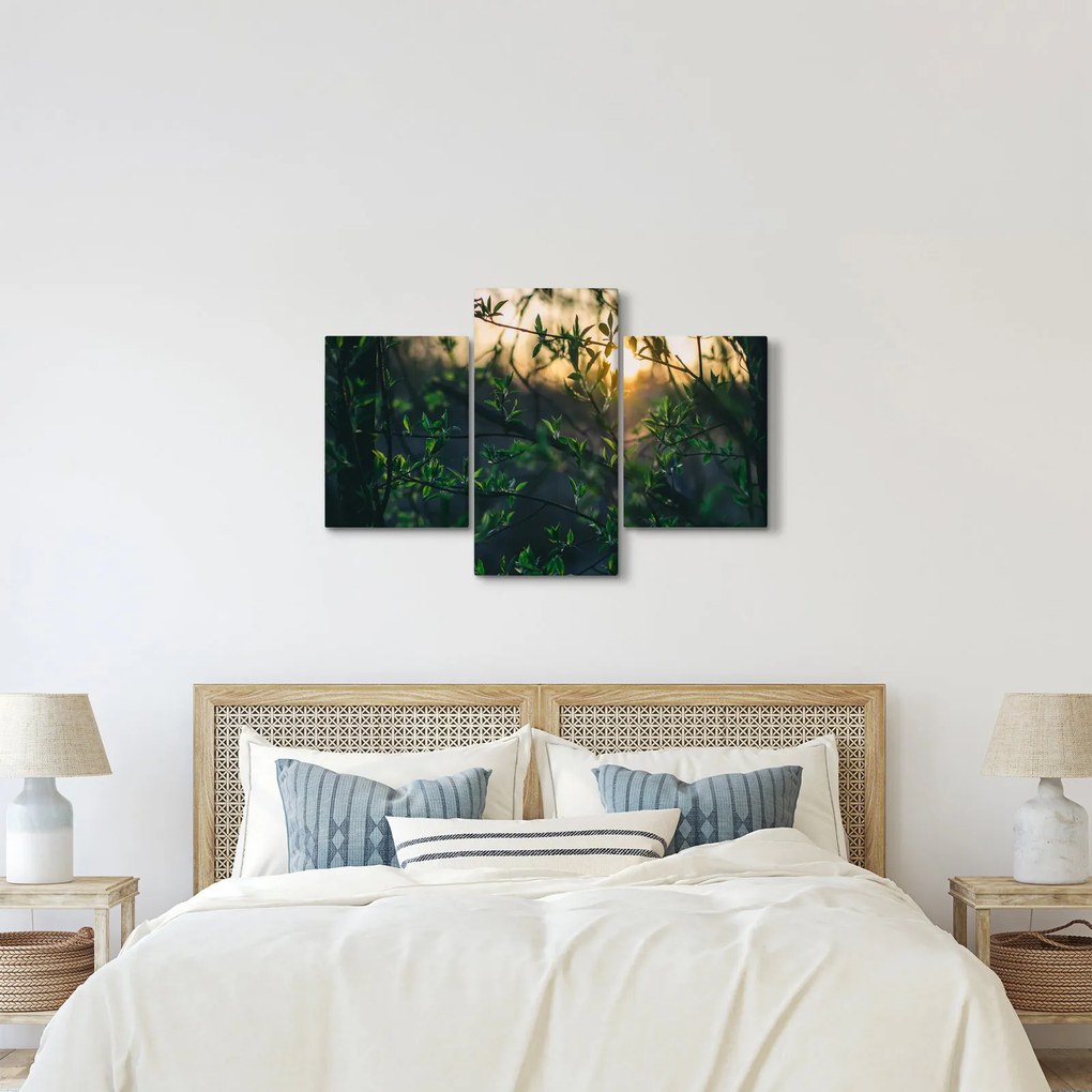 Obraz presvitajúceho slnka cez vetvičky stromov (90x60 cm)