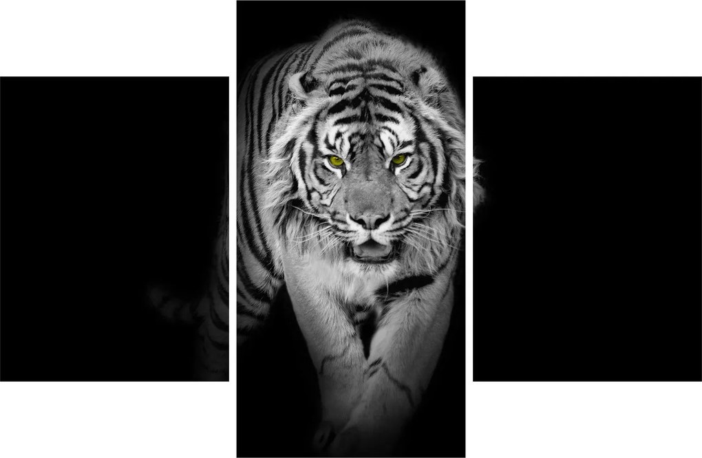 Obraz - Tiger so žltými očami (90x60 cm)