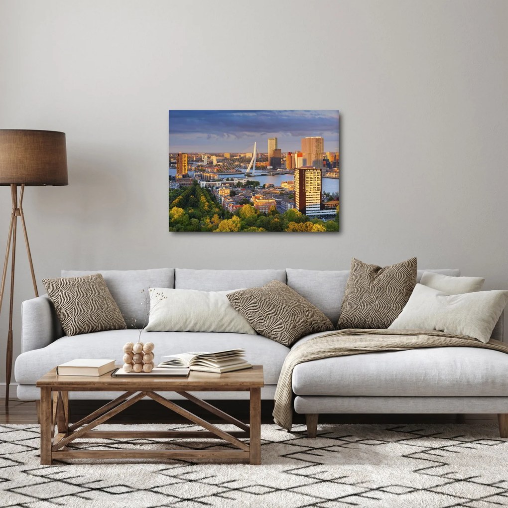 Obraz - Panorama Rotterdamu, Holandsko (70x50 cm)