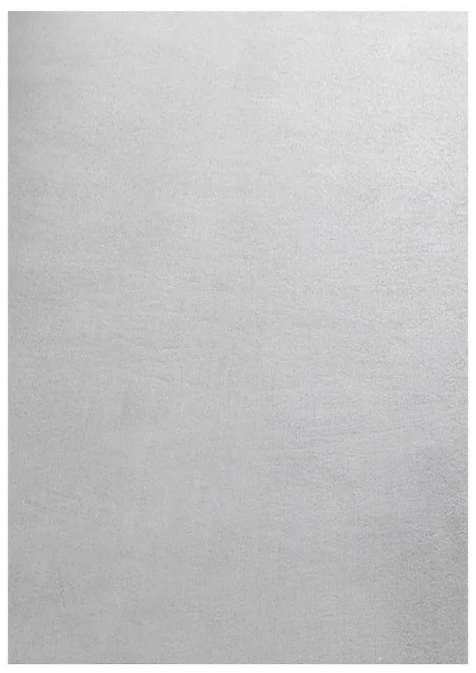 Svetlosivý prateľný koberec 160x230 cm Sky – Ayyildiz Carpets