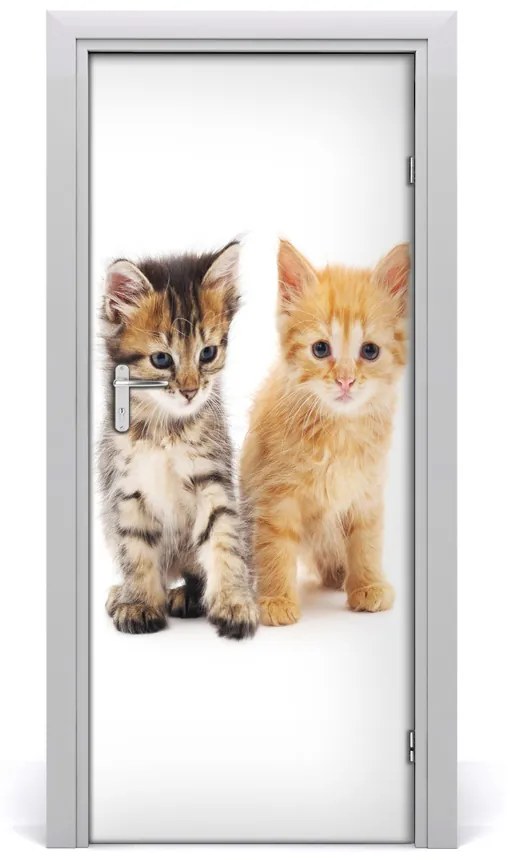 Samolepiace fototapety na dvere Sivá a červená mačka 75x205 cm