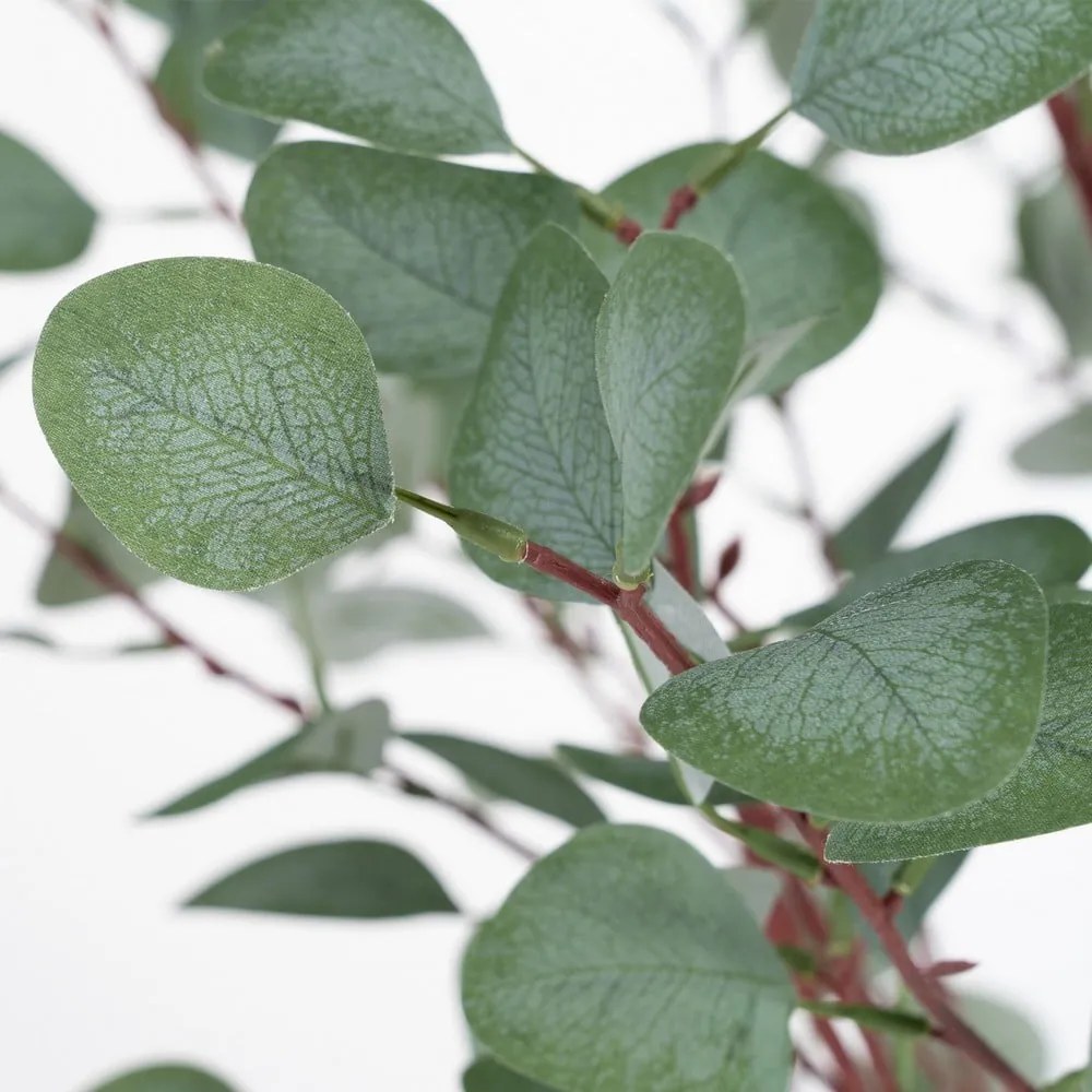 Umelý eukalyptus (výška 180 cm) Eucalyptus – Ixia