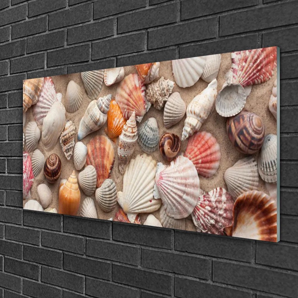 Skleneny obraz Kôrovec piesok umenie 100x50 cm