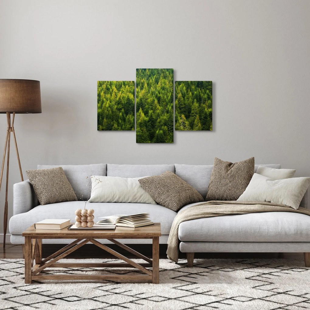 Obraz - Hustý les (90x60 cm)