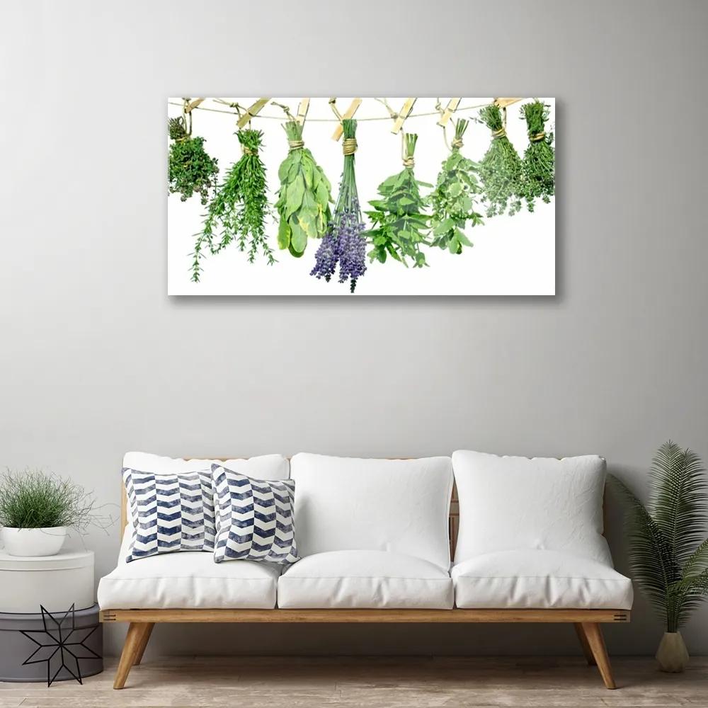 Skleneny obraz Plátky kvety byliny 100x50 cm