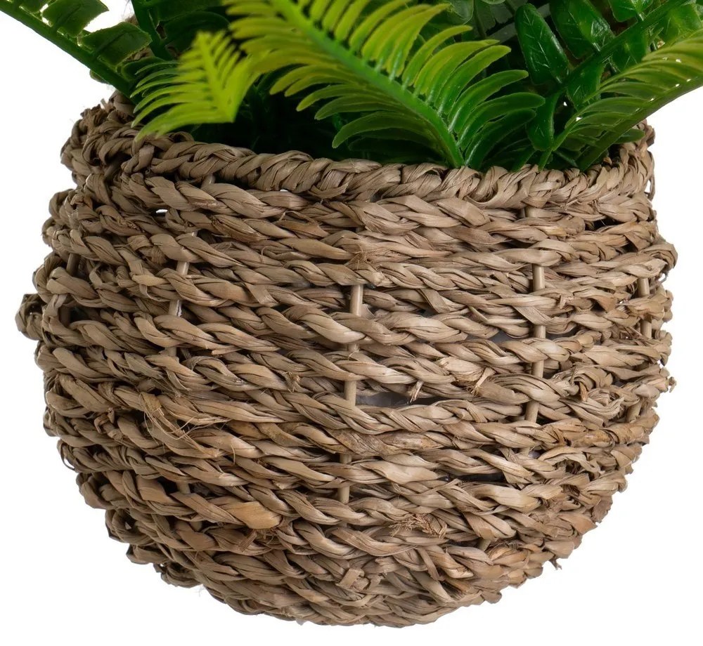 Umelá papraď (výška 25 cm) – Casa Selección