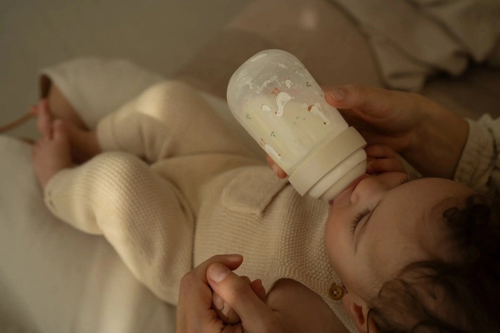 Dojčenské fľaše 165 ml + 240 ml + 2 cumlíky Husa