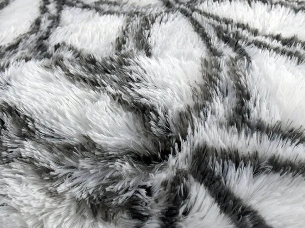 TZ Biely vzorovaný koberec shaggy Decor Latern Rozmer: 160x220 cm