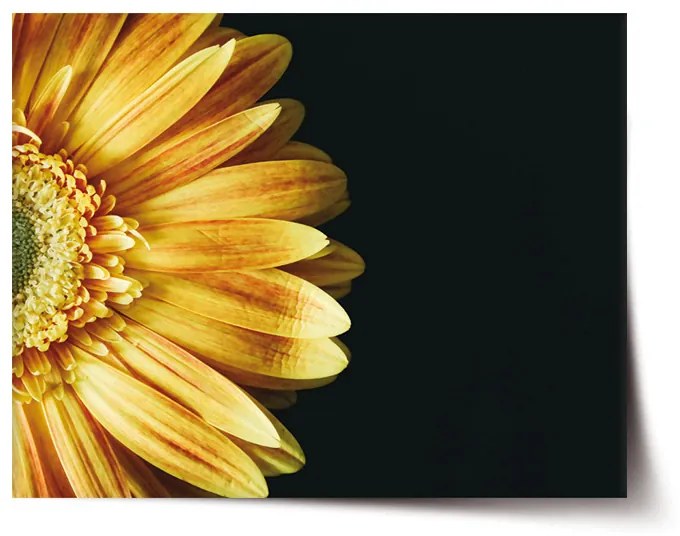 Sablio Plagát Žltá gerbera - 60x40 cm