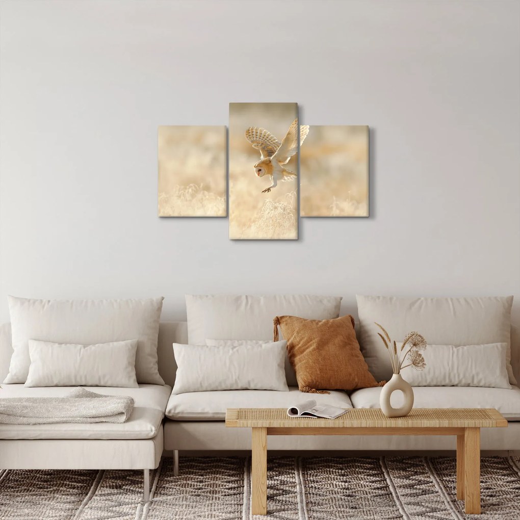 Obraz - Sova (90x60 cm)