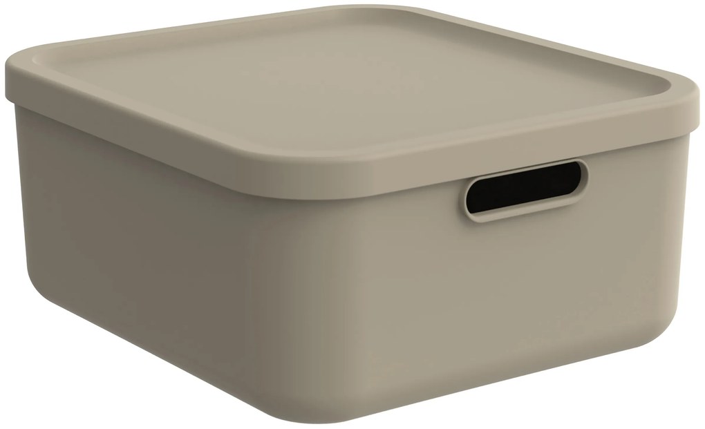 Rotho Úložný box, rovný s víkem, 20l, cappuccino ALBU LIGHT, 40x36x18 cm