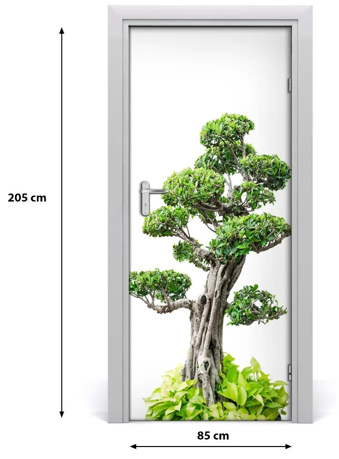 Fototapeta samolepiace bonsai 85x205 cm