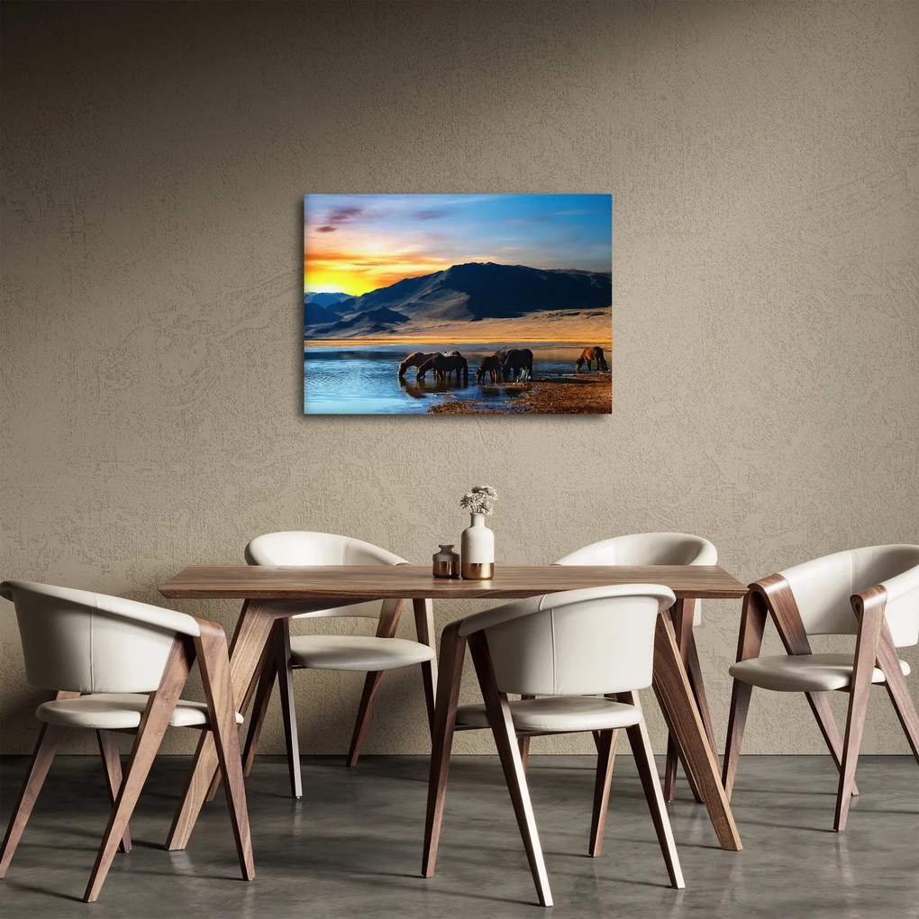 Obraz - Napájadlo (70x50 cm)