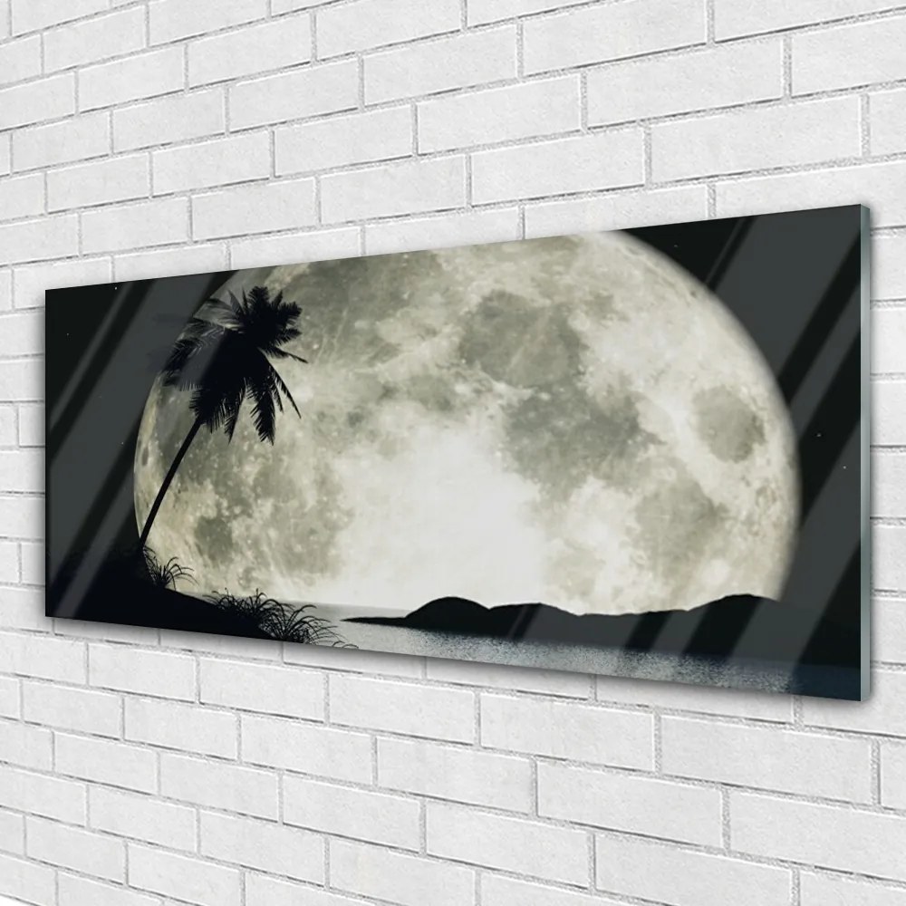 Obraz na akrylátovom skle Noc mesiac palma krajina 125x50 cm