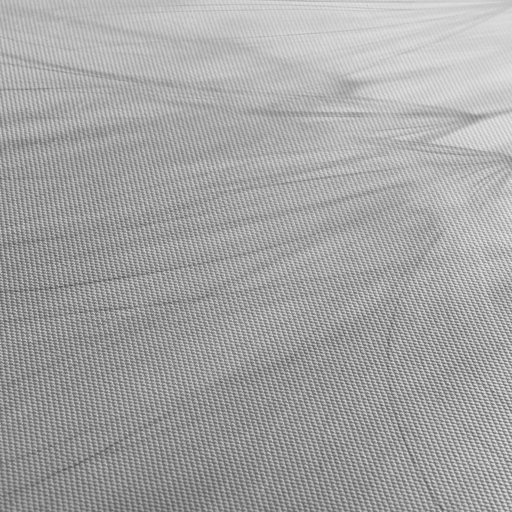 Obraz - Púpava (120x50 cm)