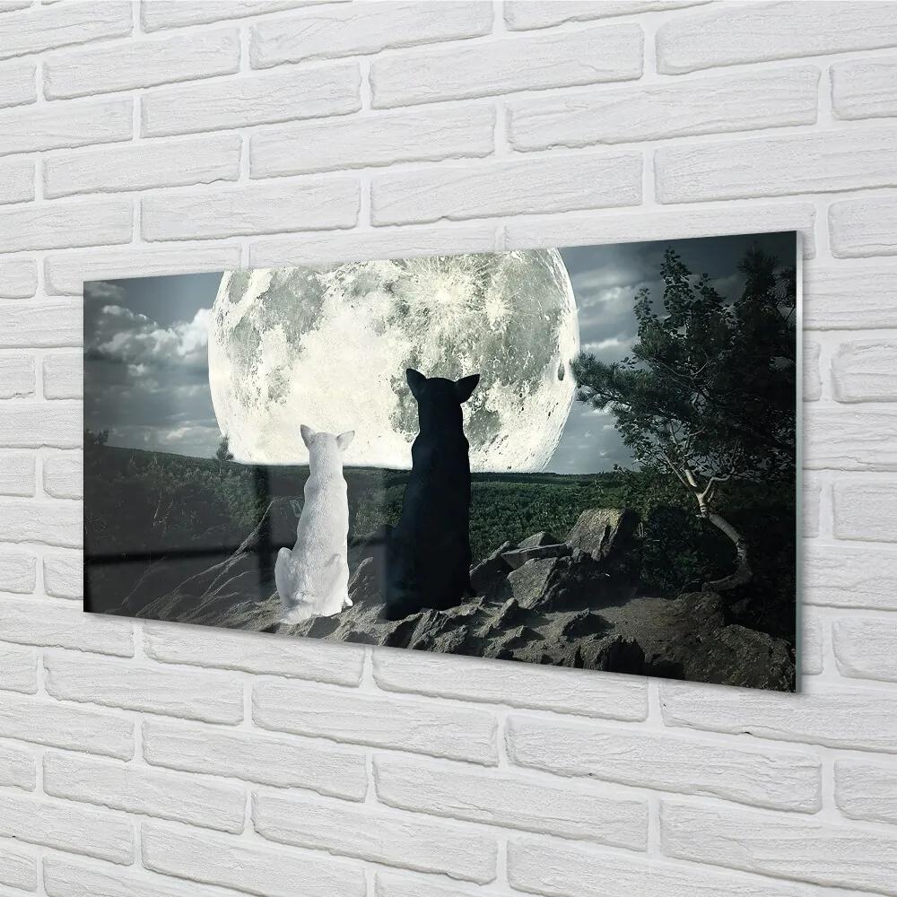Sklenený obraz Wolves mesiac lesné 120x60 cm