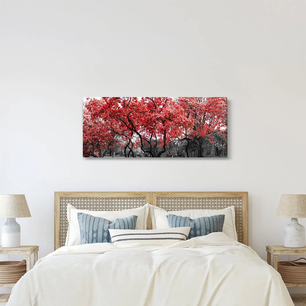Obraz - Červené stromy, Central Park, New York (120x50 cm)