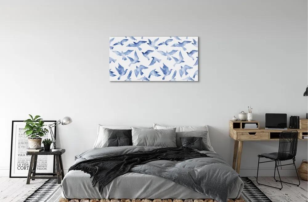 Sklenený obraz maľované vtáky 100x50 cm