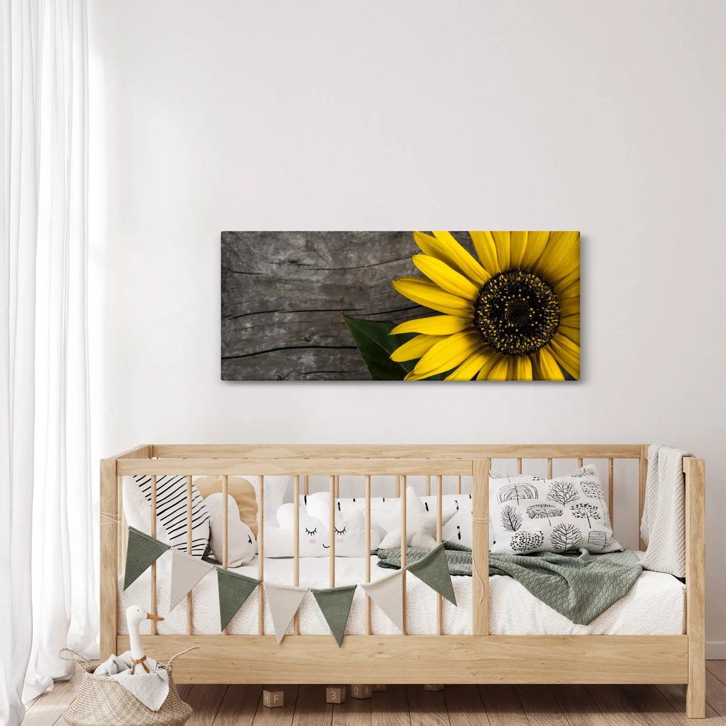Obraz - Kvet slnečnice (120x50 cm)