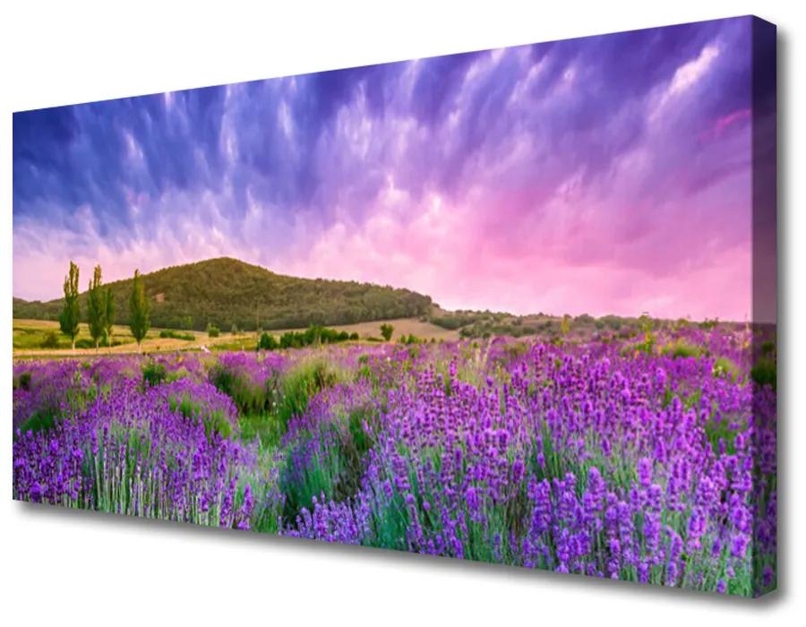Obraz na plátne Lúka kvety hory príroda 140x70cm