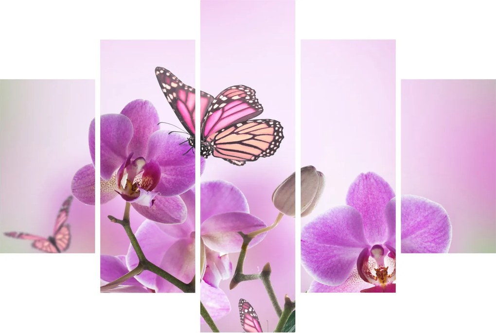 Obraz - Motýľ na kvetoch orchidey, lila (150x105 cm)