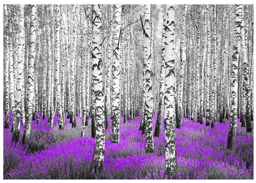 Artgeist Fototapeta - Purple asylum Veľkosť: 196x140, Verzia: Samolepiaca
