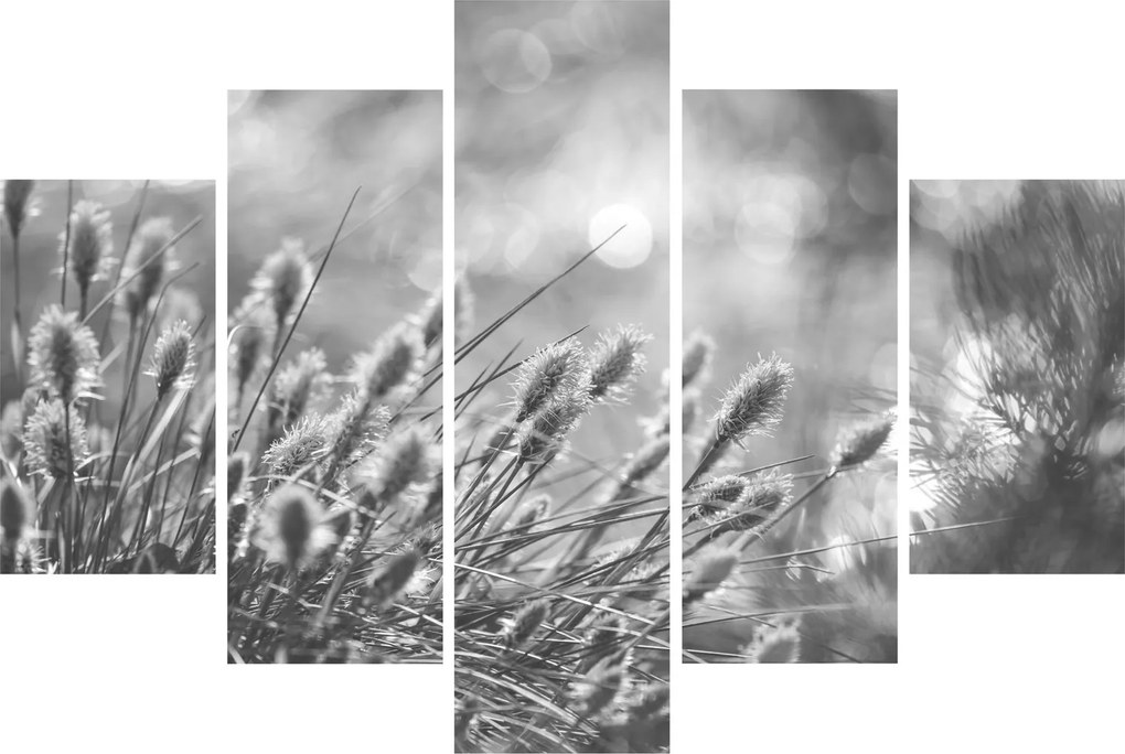 Obraz - Béžová soft grass N⁰1 (150x105 cm)